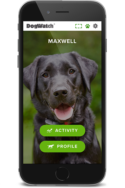 DogWatch of Tidewater, Suffolk, Virginia | SmartFence WebApp Image