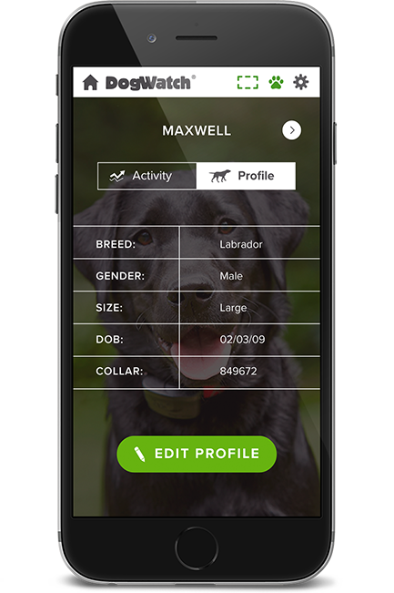 DogWatch of Tidewater, Suffolk, Virginia | SmartFence WebApp Image