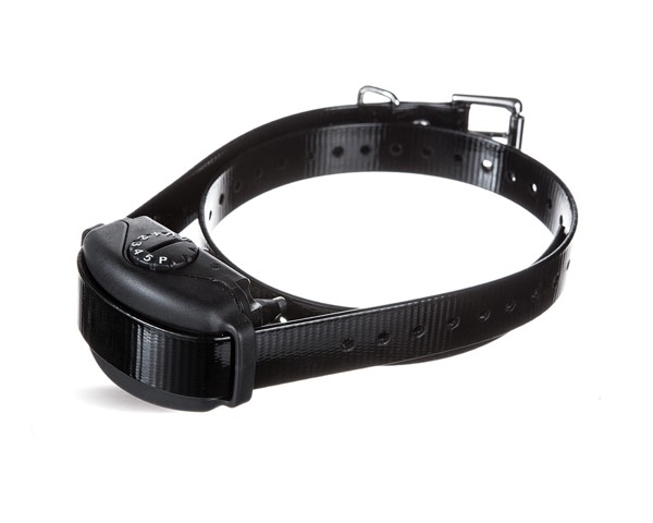 DogWatch of Tidewater, Suffolk, Virginia | BarkCollar No-Bark Trainer Product Image